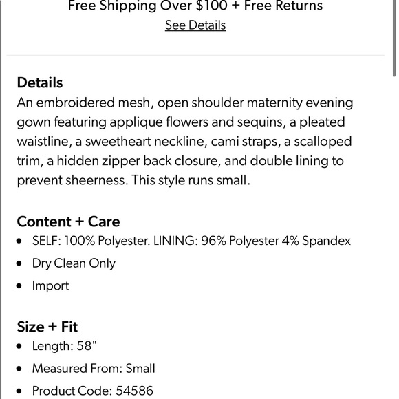 NWT Baby Blue Lace Maternity Dress with Embroidered Flowers - Picture 4 of 7